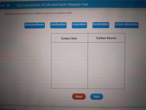 Identify each process as a carbon source or a carbon sink?