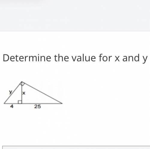 Determine the value for x and y
I’ll give brainliest pls help