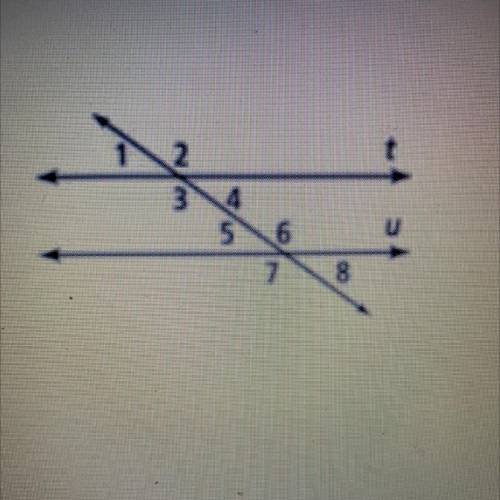 Which pair of angles are alternate exterior angles

<1 and <5
<3 and <6
<5 and <