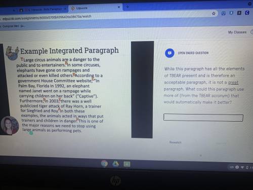 TBEAR Integrated paragraph !!