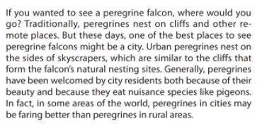 Name a domestic animal a peregrine falcon might be competing with by eating pigeons.