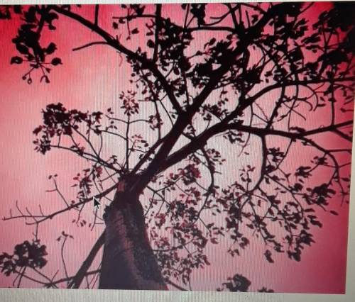 Which descriptive word/s best captures the visual in this picture? red C. dark tree b. eerie light