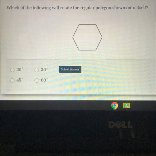 Can someone plz help :(