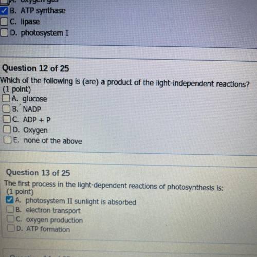 Does anyone know the answer to number 12 please help
