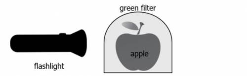 A student conducts an experiment with a green filter. The student places the filter over a red appl