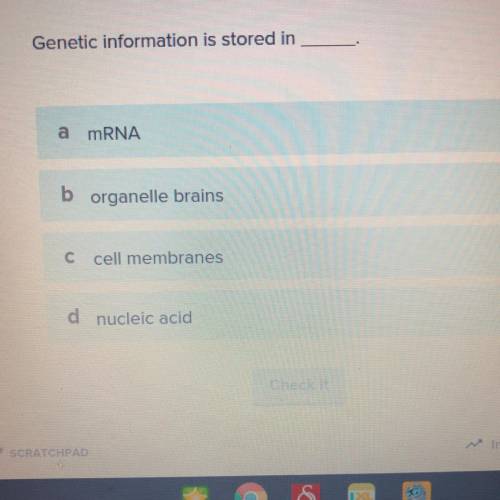 Genetic information is stored in ____ .