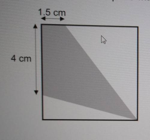 The diagram shows a square with perimeter 20 cm. Work out the percentage of the area inside that is