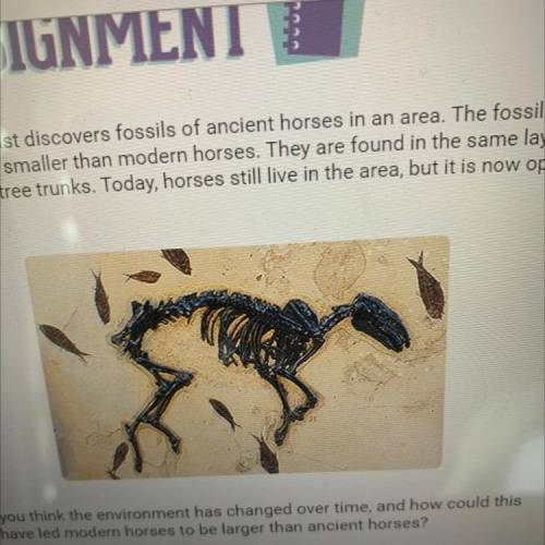 Suppose a scientist discovers fossils of ancient horses in an area. The fossilized

horses are muc