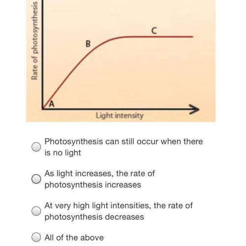 The following graph shows the effect of light on the rate of photosynthesis. Which of the following