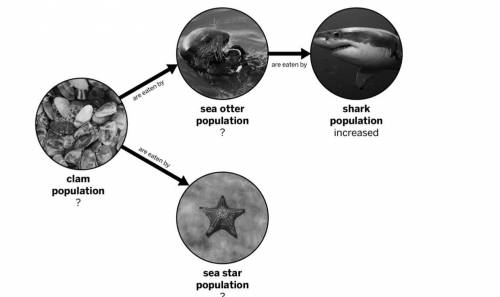 Scientists have been studying four populations in the ocean near Alaska. In the ocean, sharks eat s