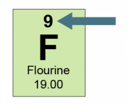 Which is one piece of information that 9” gives about an atom of fluorine?

The atomic mass is di