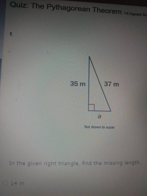 1.

In the given right triangle, find the missing length.
A. 14m
B. 39m
C. 12m
D. 28m