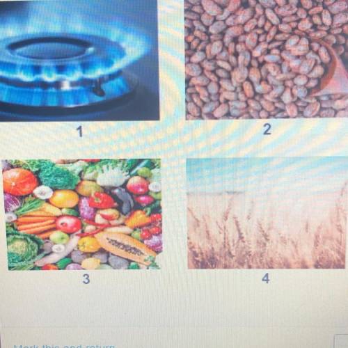 Which image shows a non renewable resource?
1
2
3
4