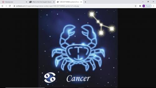 ZODIAC:CANCER
WHO NEXT
LIBRA OR CAPRICORN