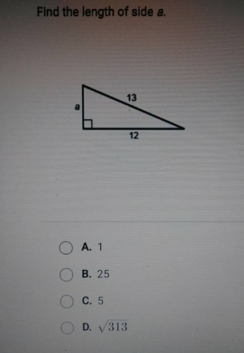 Pls help I need help! Find the length of side A.