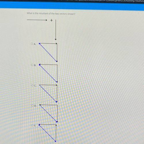 What is the resultant of the two vectors shown?