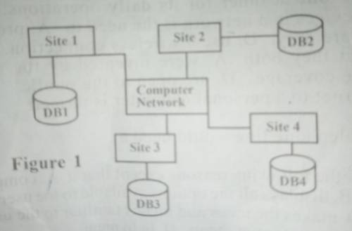 What does the image depict:

a. a distributed database
b. a parallel database
c. an extranet
d. an