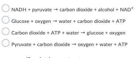 Which of the following correctly identifies the reactants and products of aerobic cellular respirat