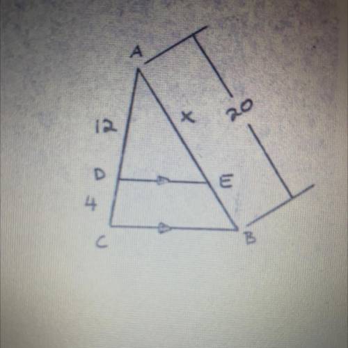 A) ACB ~ _____

b) Set up a proportion to
solve for x.
c) X=
d) AE =
e) scale factor =