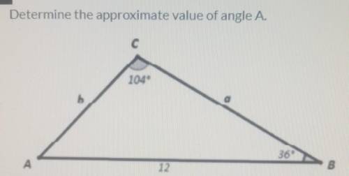 Determine the approximate value of angle A.