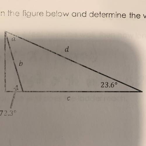 Consider the right triangle in the figure below and determine the value of a,b,c, and d.