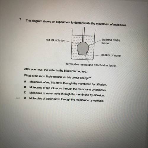 Really need help with this please help