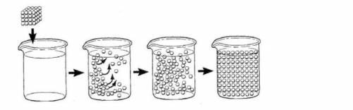 As pictured above, a sugar cube is dropped into a beaker of water. What cell transport process is r