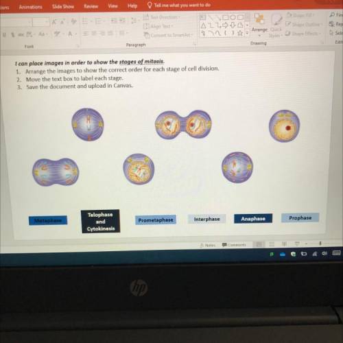 I can place images in order to show the stages of mitosis.

1. Arrange the images to show the corr