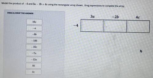 Please help. This is due today and I really have no idea what I’m doing.