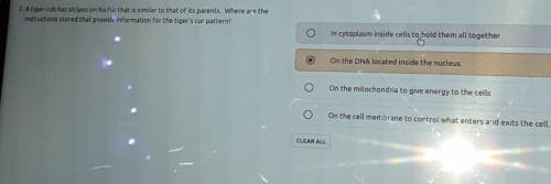 Can some one help? This Is all about the cell.