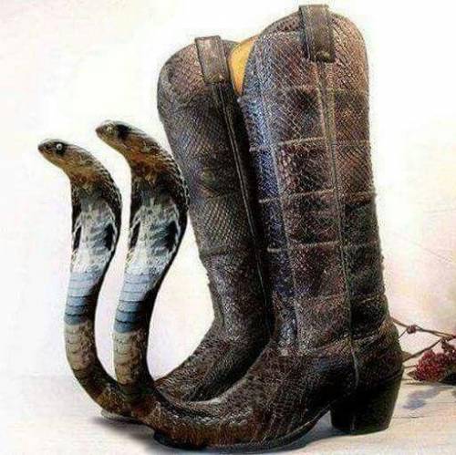 We got the cobra 9´s out just realse them