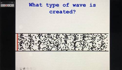 What type of wave is created here?

A) longitudinal 
B) transverse 
Help me plssss!!!