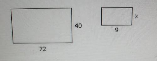These two rectangles are similar. What is the value of x?