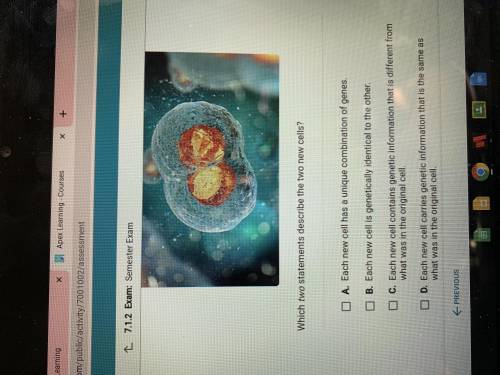 Help help I need it now it’s a semester yes please please helpThis cell is dividing into two cells