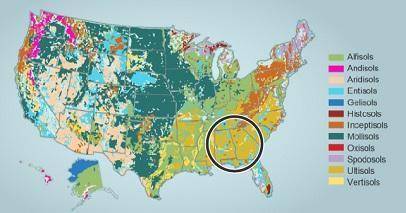 Which best describes the soils found in the southeastern United States?

frozen
sandy
weathered
yo