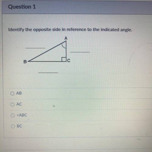 Please help me please no one is helping me answering the question please ASAP