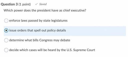 Which power does the president have as chief executive?

Question 3 options:
A: enforce laws passe