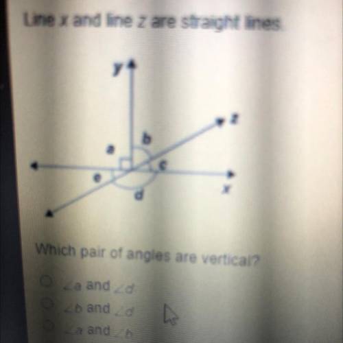 Line x and line z are straight lines.

Which pair of angles are vertical?
A and d
B and d
A and b