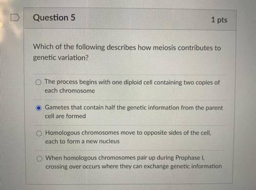 What is the correct answer, and not sure on this (please hurry)