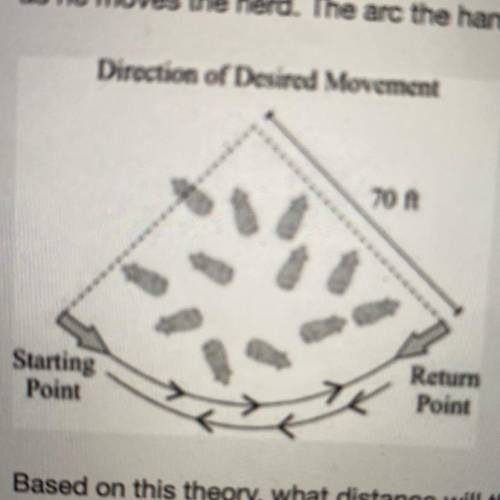 The figure below shows the ideal pattern of movement of a herd of cattle, with the arrows showing t