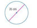 Find the circumference of the circle shown. Round to the nearest tenth.