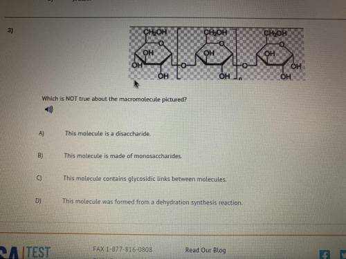 Which is NOT true about the macromolecule pictured?Pls help lol