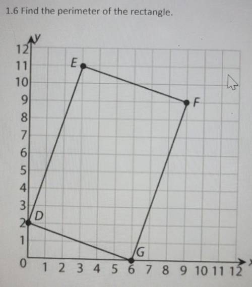 What is the perimeter of the rectangle below