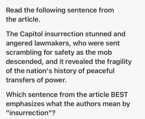 Which sentence from the article best emphasizes what the author means by insurrection
