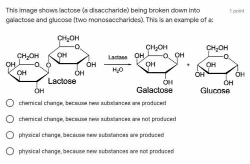 This image shows lactose (a disaccharide) being broken down into galactose and glucose (two monosac