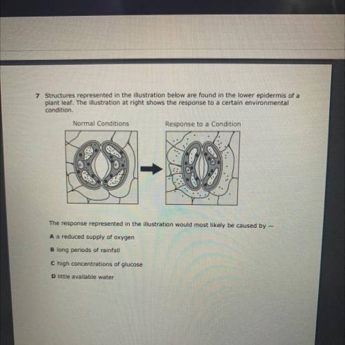 I NEED HELP PLEASE A BIOLOGY QUESTION