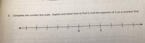 Help pls:) this is a grade