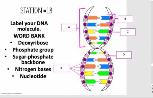 Label your DNA word bank