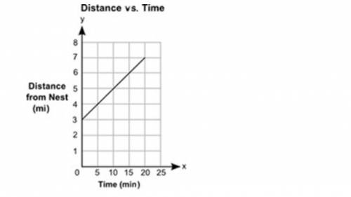 The graph below shows the distance, y, in miles, of a bird from its nest for a certain amount of ti