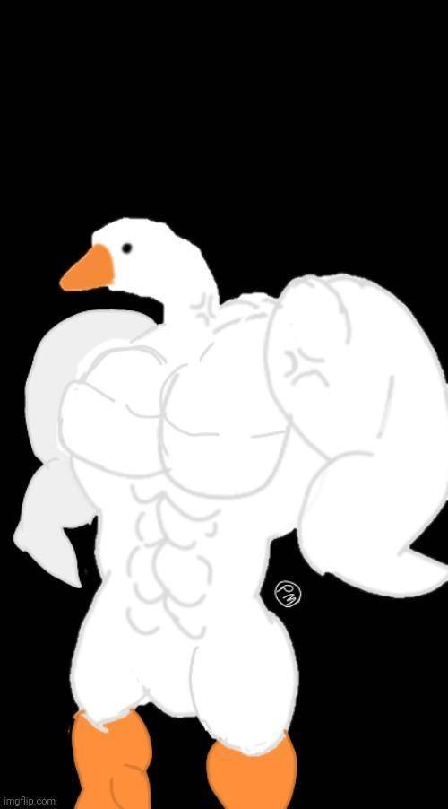 Buff duck will enslave you all
